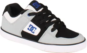 DC Boy's Pure Skate Shoe, White, 2 Little Kid